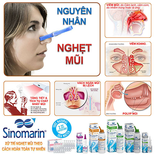 Công ty TNHH Hồng Phúc Bảo