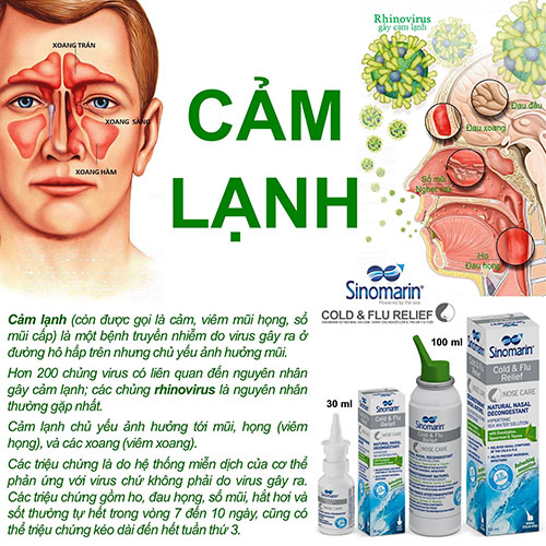 Công ty TNHH Hồng Phúc Bảo